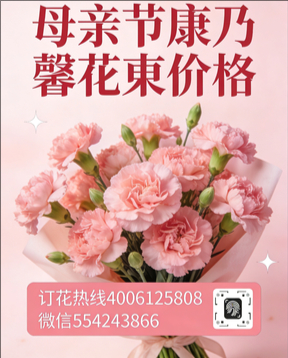 莆田荔城区花店母亲节康乃馨花束